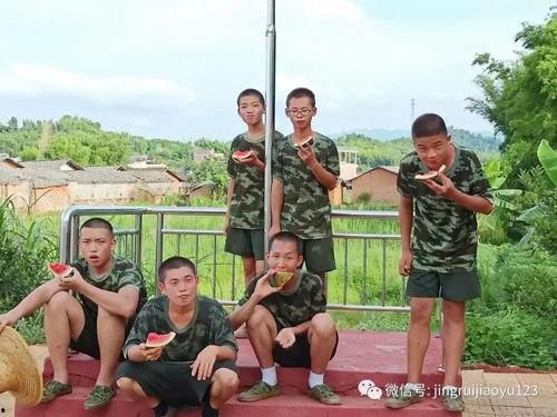 爆料爸爸妈妈的小孩视频,爸爸妈妈的小孩视频背后的温馨故事